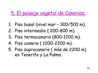5. El paisaje vegetal de Canarias.

1.   Piso basal (nivel mar – 300/500 m).
2.   Piso intermedio ( 200-800 m).
3.   Piso termocanario (800-1200 m).
4.   Piso canario ( 1200-2200 m).
5.   Piso supracanario ( más de 2200 m)
     en Tenerife y La Palma.

                                           82
 