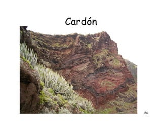 Cardón




         86
 