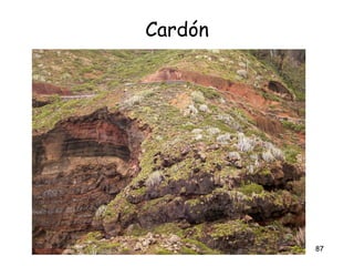 Cardón




         87
 