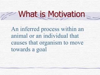Self Motivation | PPT