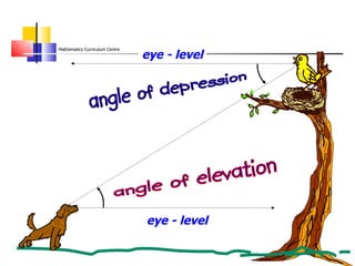 eye - level eye - level 