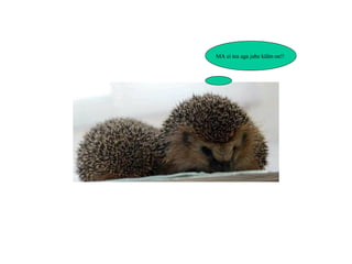 MA ei tea aga jube külm on!!  