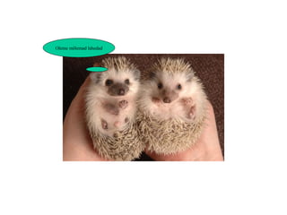 Oleme mõlemad lahedad 