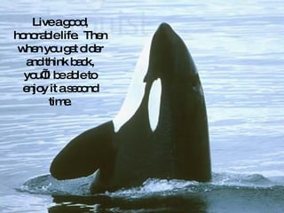 Live a good, honorable life.  Then when you get older and think back, you’ll be able to enjoy it a second time. 