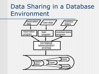 Files Vs DataBase | PPT | Databases | Computer Software and Applications