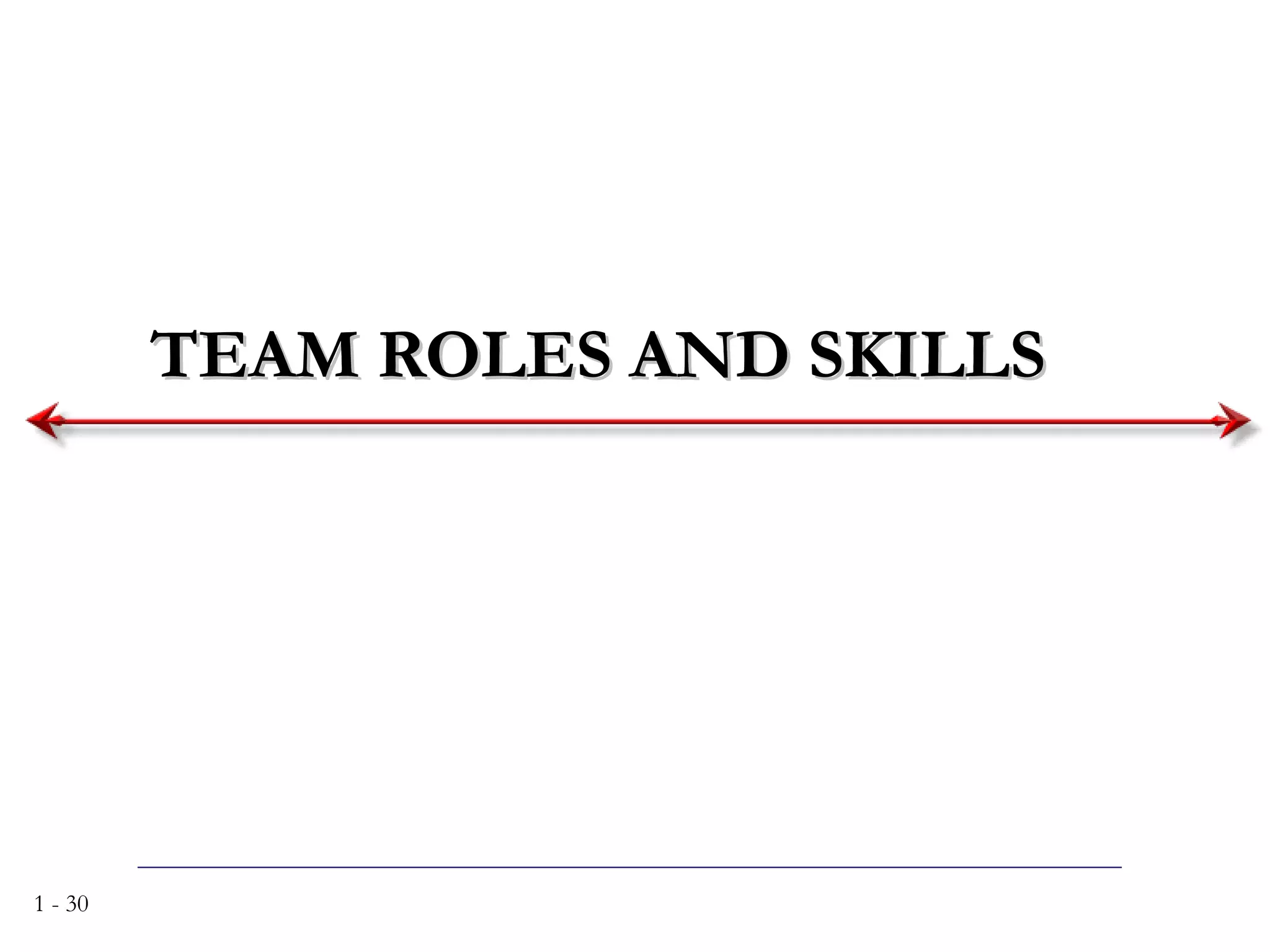 TEAM ROLES AND SKILLS 
