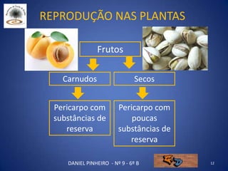 Reprodução nas plantas