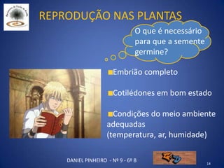 Reprodução nas plantas