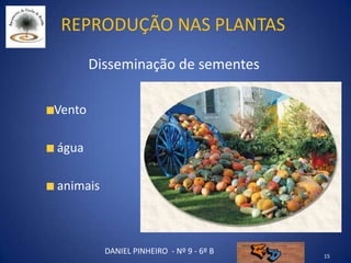 Reprodução nas plantas