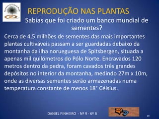 Reprodução nas plantas
