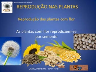Reprodução nas plantas