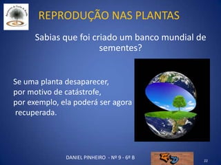 Reprodução nas plantas