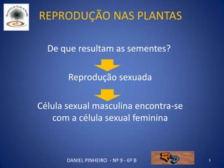 Reprodução nas plantas