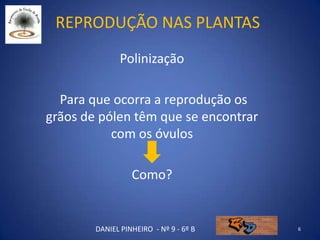 Reprodução nas plantas