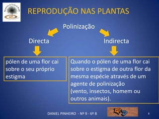 Reprodução nas plantas