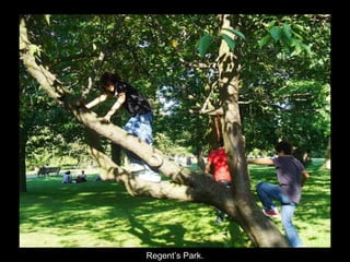 Regent’s Park. 