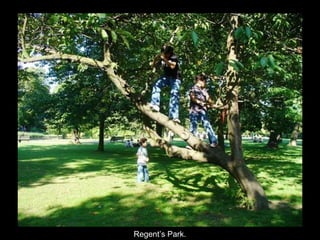 Regent’s Park. 