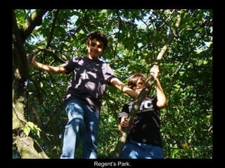 Regent’s Park. 