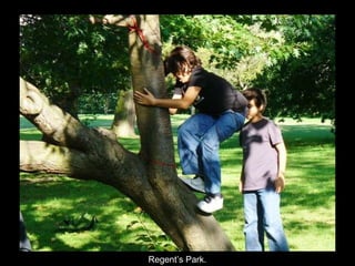 Regent’s Park. 