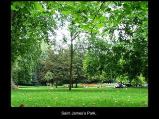 Saint James’s Park. 