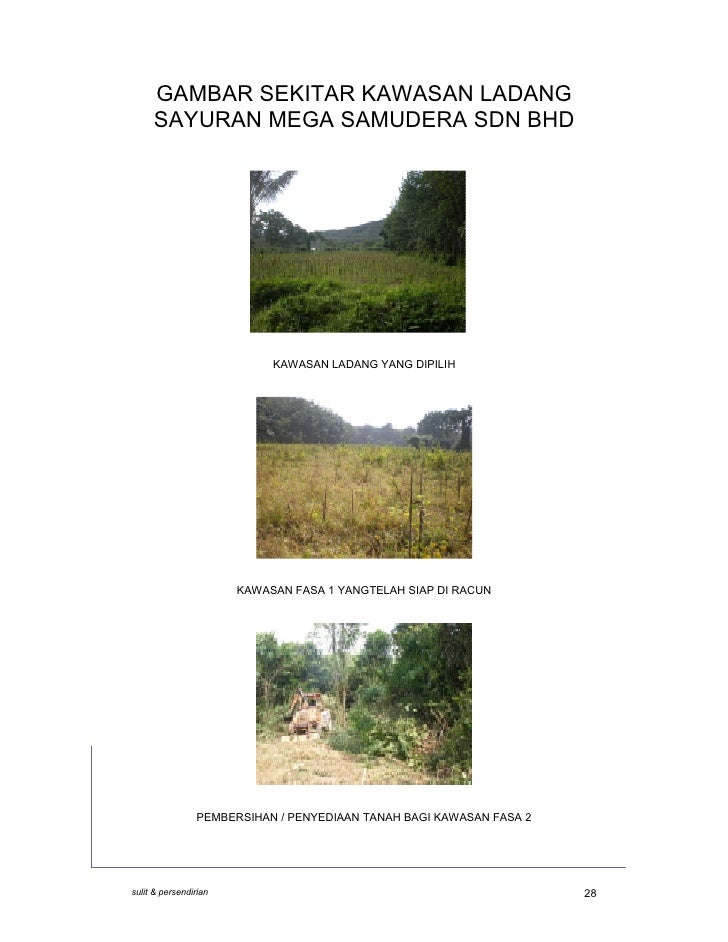 C:\Documents And Settings\User\Desktop\Rp Ladang Sayuran