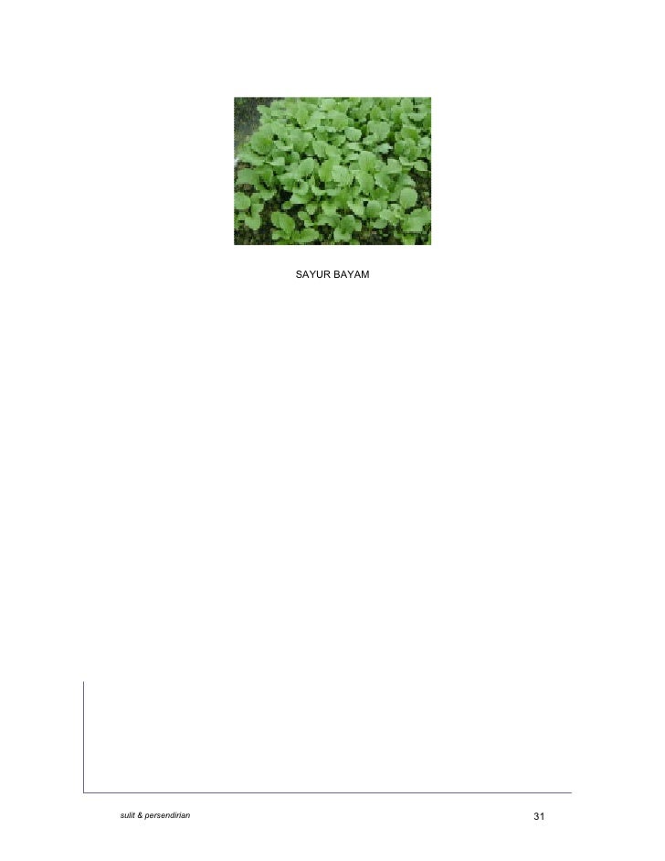 C:\Documents And Settings\User\Desktop\Rp Ladang Sayuran