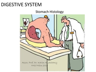DIGESTIVE SYSTEM
                    Stomach Histology




        Assoc. Prof. Dr. Karim Al-Jashamy
                 IMS/MSU 2010
 
