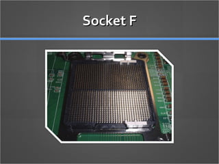 Socket F 