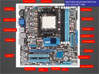 Zocalo del microprocesador Conector floppy Zocalos de memoria dimm ddr3 Condensador Conector IDE Conector hembra 24pin de alimentación Chip del BIOS Southbridge pila Jumper de clear CMOS Puerto sata 2 USB Puertos midi Entrada y salida ondboard chipset o northbridge Zocalo pci express 1x Zocalo pci express 16x zocalo pci MOTHER ASUS M4A785TD-M EVO SOCKET AM3 CONECTOR HEMBRA 4PIN 