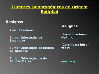 Tumores Odontogênicos de Origem Epitelial Benignos Ameloblastoma Tumor Odontogênico Escamoso Tumor Odontogênico Epitelial Calcificante Tumor Odontogênico de Células Claras Malignos Ameloblastoma Maligno Carcinoma intra-ósseo (OMS, 1992) 