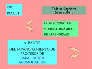 Jean PIAGET PROPORCIONÓ  UN MODELO DINÁMICO  DE APRENDIZAJE A  PARTIR DEL FUNCIONAMIENTO DE PROCESOS DE  ASIMILACIÓN ACOMODACIÓN Teórico Cognitivo Desarrollista 