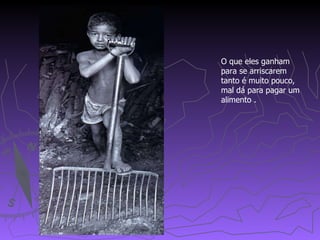 O que eles ganham para se arriscarem tanto é muito pouco,  mal dá para pagar um alimento . 