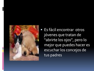 Es fácil encontrar  otros jóvenes que tratan de “abrirte los ojos”, pero lo mejor que puedes hacer es escuchar los concejos de tus padres