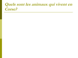 Quels sont les animaux qui vivent en Corse? 