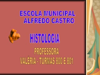 HISTOLOGIA ESCOLA MUNICIPAL ALFREDO CASTRO PROFESSORA VALÉRIA - TURMAS 800 E 801 