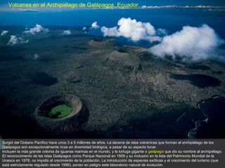 Surgió del Océano Pacífico hace unos 3 a 5 millones de años. La decena de islas volcánicas que forman el archipiélago de los Galápagos son excepcionalmente ricas en diversidad biológica, a pesar de su aspecto lunar.  Incluyen la más grande colonia de iguanas marinas en el mundo, y la tortuga gigante o  galápago  que dio su nombre al archipiélago.  El reconocimiento de las Islas Galápagos como Parque Nacional en 1959 y su inclusión en la lista del Patrimonio Mundial de la Unesco en 1978, no impidió el crecimiento de la población. La introducción de especies exóticas y el crecimiento del turismo (que está estrictamente regulado desde 1998), ponen en peligro este laboratorio natural de evolución. Volcanes en el Archipiélago de Galápagos, Ecuador.   