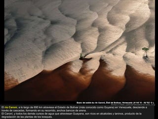 El  río Caroní , a lo largo de 690 km atraviesa el Estado de Bolívar (más conocido como Guyana) en Venezuela, desciende a través de cascadas, formando en su recorrido, anchos bancos de arena.  El Caroní, y todos los demás cursos de agua que atraviesan Guayana, son ricos en alcaloides y taninos, producto de la degradación de las plantas de los bosques. 