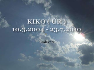 Kiko ( úr )10.3.2004 - 23.7.2010 Emlékére 