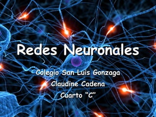 Redes Neuronales Colegio San Luis Gonzaga Claudine Cadena Cuarto “C” 