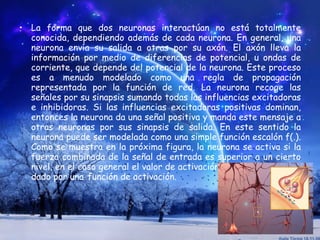 La forma que dos neuronas interactúan no está totalmente conocida, dependiendo además de cada neurona. En general, una neurona envía su salida a otras por su axón. El axón lleva la información por medio de diferencias de potencial, u ondas de corriente, que depende del potencial de la neurona. Este proceso es a menudo modelado como una regla de propagación representada por la función de red. La neurona recoge las señales por su sinapsis sumando todas las influencias excitadoras e inhibidoras. Si las influencias excitadoras positivas dominan, entonces la neurona da una señal positiva y manda este mensaje a otras neuronas por sus sinapsis de salida. En este sentido la neurona puede ser modelada como una simple función escalón f(.). Como se muestra en la próxima figura, la neurona se activa si la fuerza combinada de la señal de entrada es superior a un cierto nivel, en el caso general el valor de activación de la neurona viene dado por una   función de activación. 