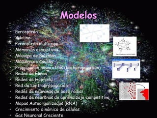 Modelos Perceptrón  Adaline  Perceptrón multicapa  Memorias asociativas  Máquina de Bolzman  Máquina de Cauchy  Propagación hacia atrás (backpropagation)  Redes de Elman  Redes de Hopfield  Red de contrapropagación  Redes de neuronas de base radial  Redes de neuronas de aprendizaje competitivo  Mapas Autoorganizados (RNA)  Crecimiento dinámico de células  Gas Neuronal Creciente  Redes ART (Adaptative Resonance Theory)  