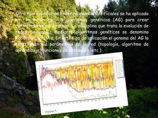 Otro tipo especial de redes neuronales artificiales se ha aplicado en conjunción con los algoritmos genéticos (AG) para crear controladores para robots. La disciplina que trata la evolución de redes neuronales mediante algoritmos genéticos se denomina Robótica Evolutiva. En este tipo de aplicación el genoma del AG lo constituyen los parámetros de la red (topología, algoritmo de aprendizaje, funciones de activación, etc.)  