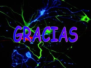 GRACIAS 