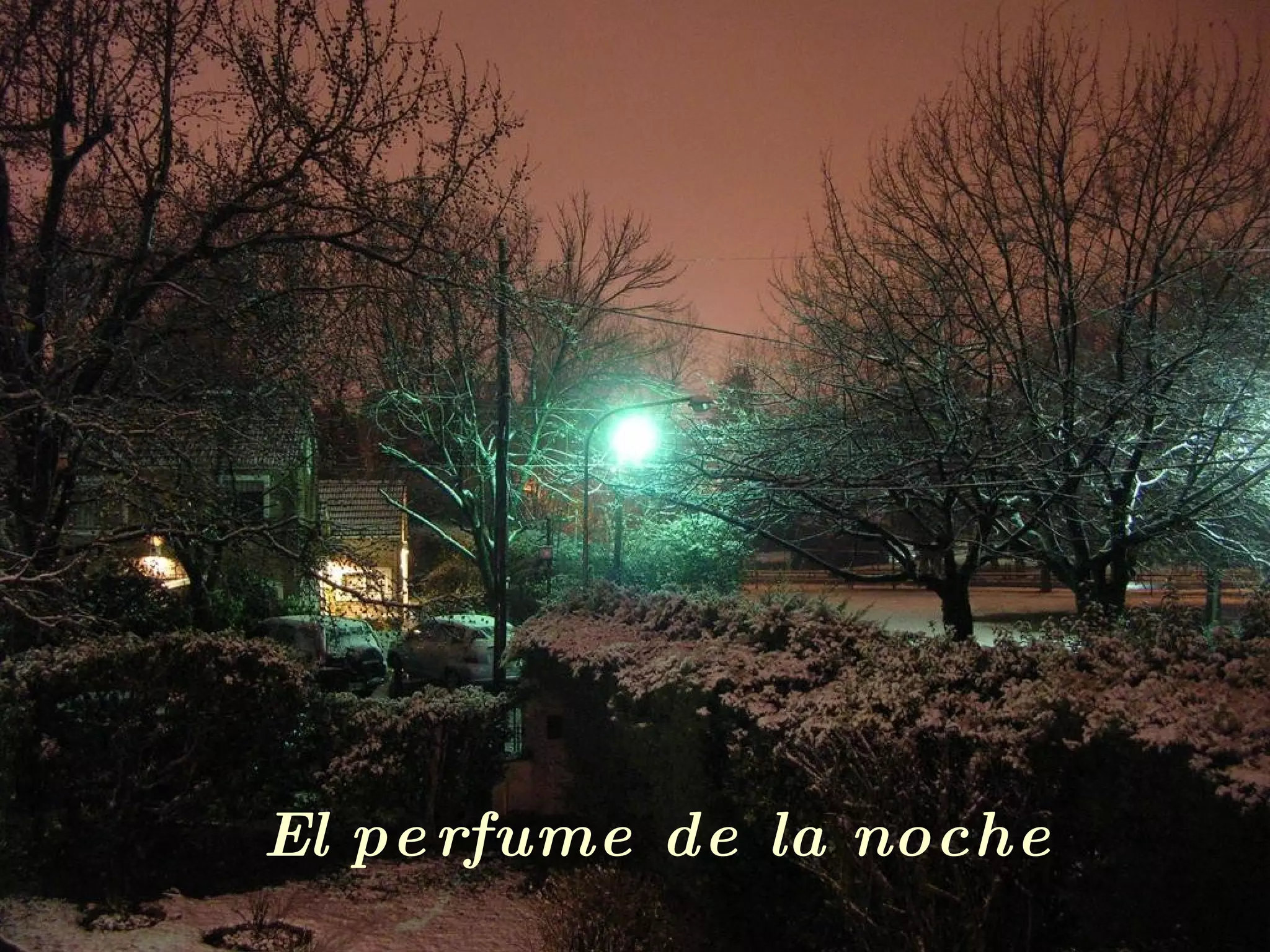 El perfume de la noche