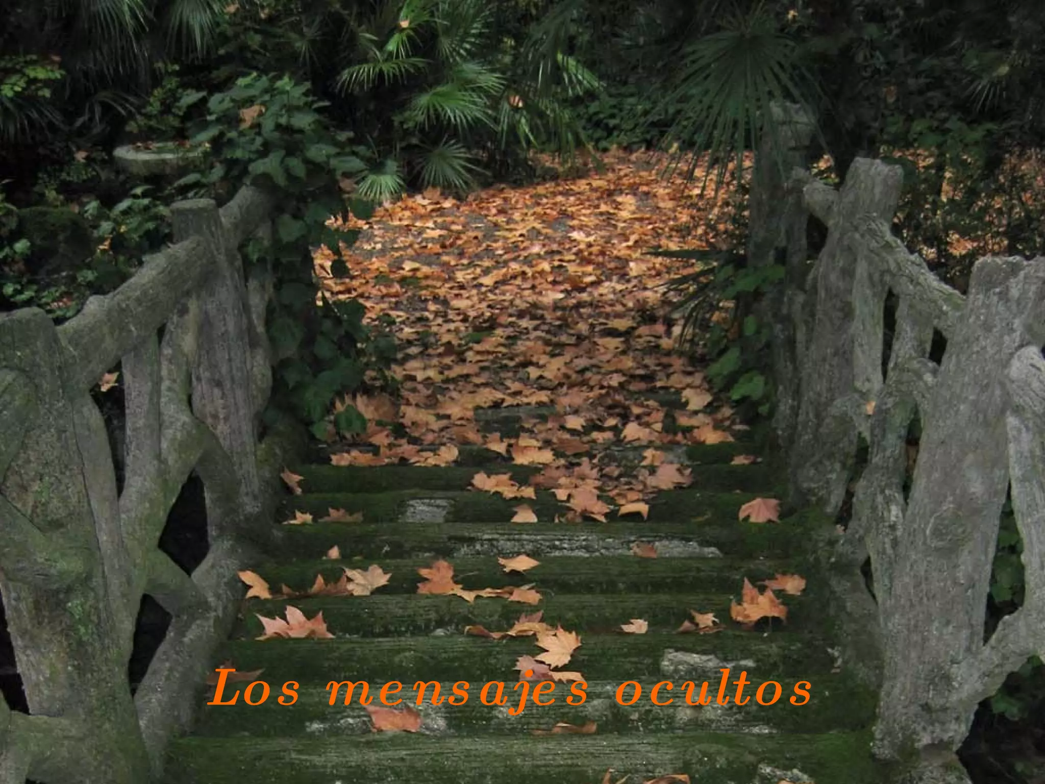 Los mensajes ocultos