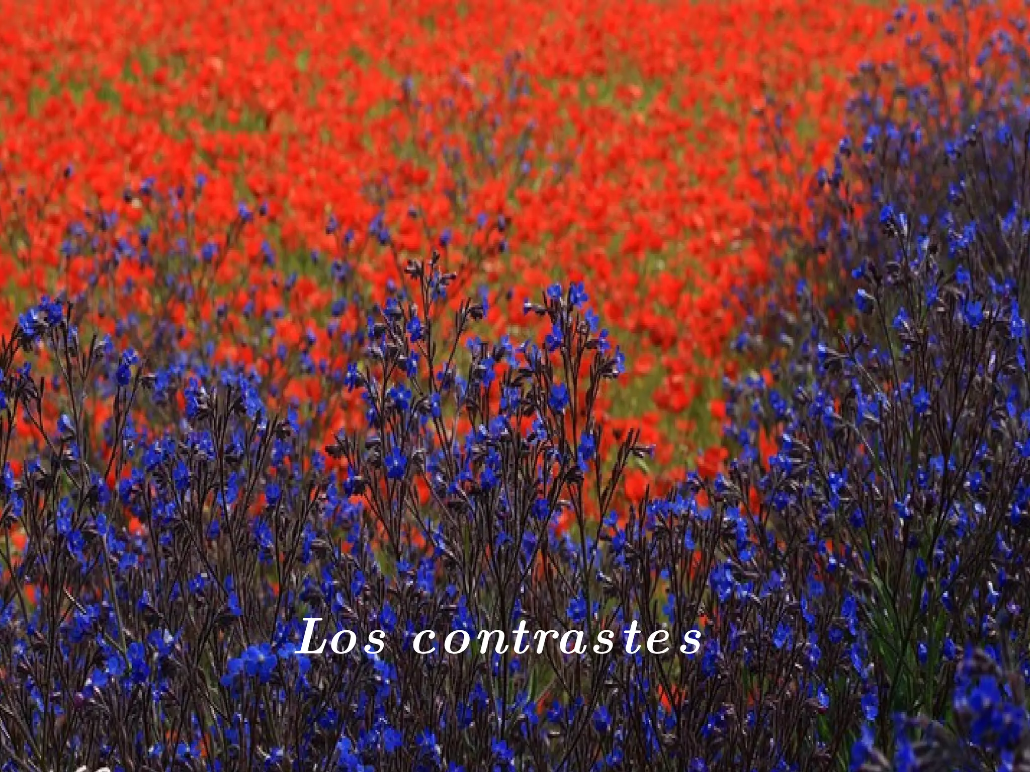 Los contrastes