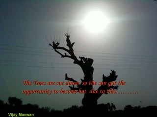 The Trees are cut down  so the sun got the opportunity to become hot  due to this………. Vijay Macwan 