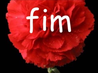 fim 