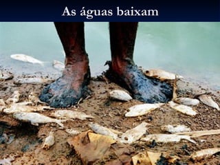 As águas baixam 