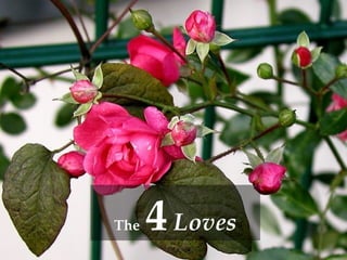 The   4   Loves 